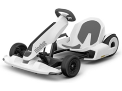 Monociclo NINEBOT Segway Z10 (Velocidad máxima: 45 km/h)
