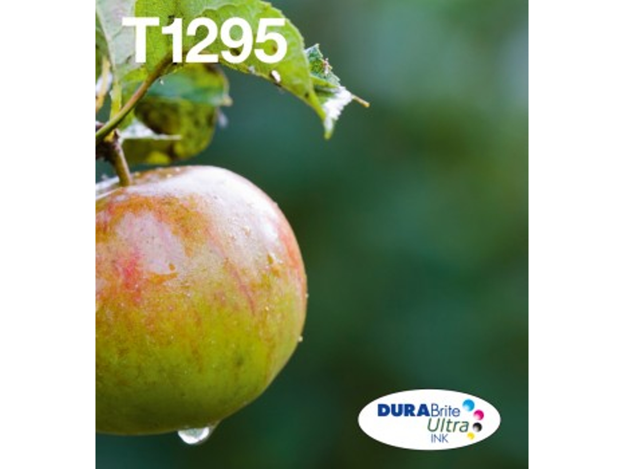 Pack ahorro cartuchos de tinta original EPSON T1295, Manzana, C13T12954012