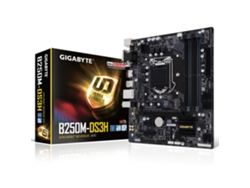 Placa Base GIGABYTE B250M-DS3H