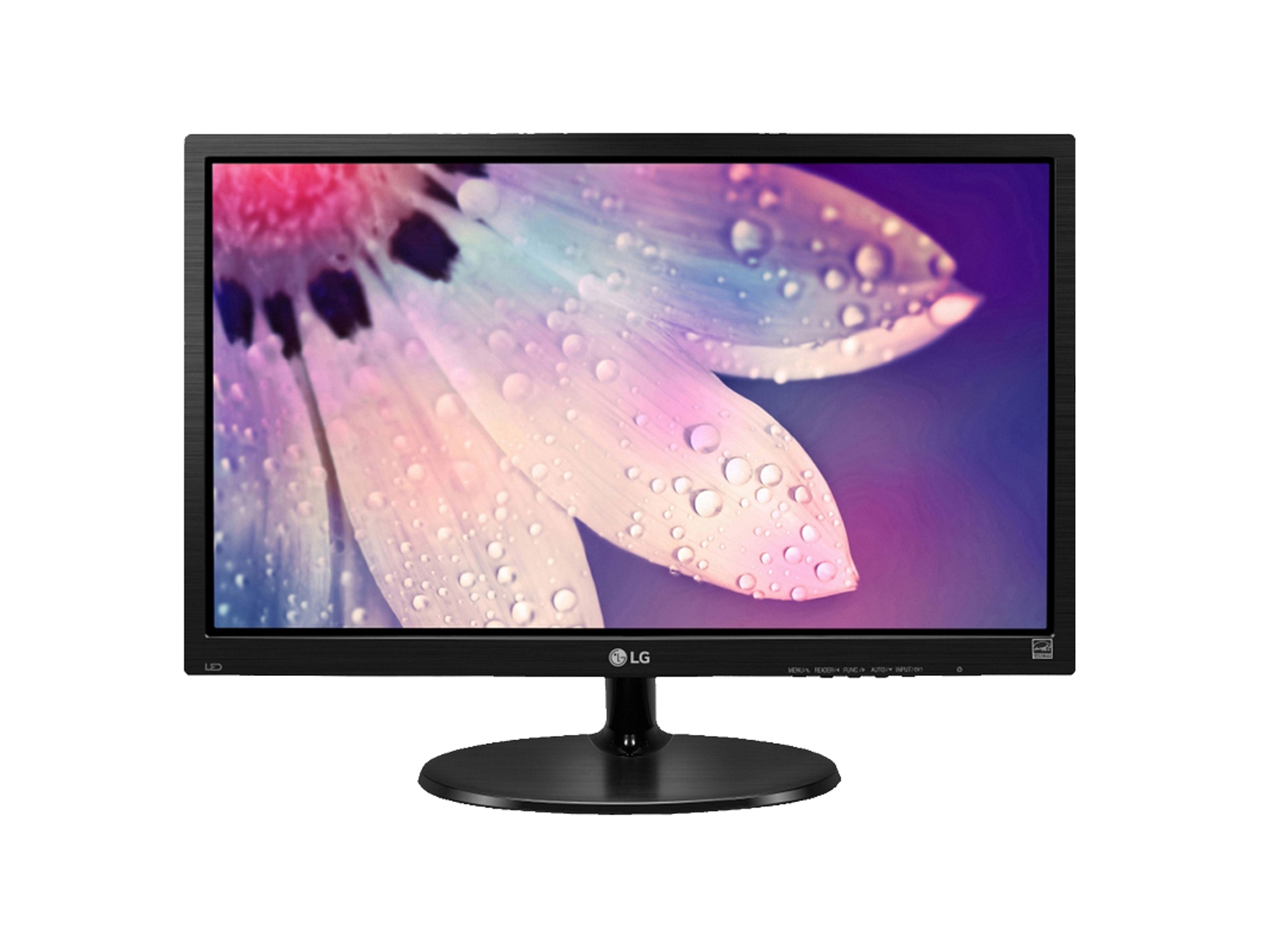 Monitor LG 22M38A (22'' - Full HD - LED TN)