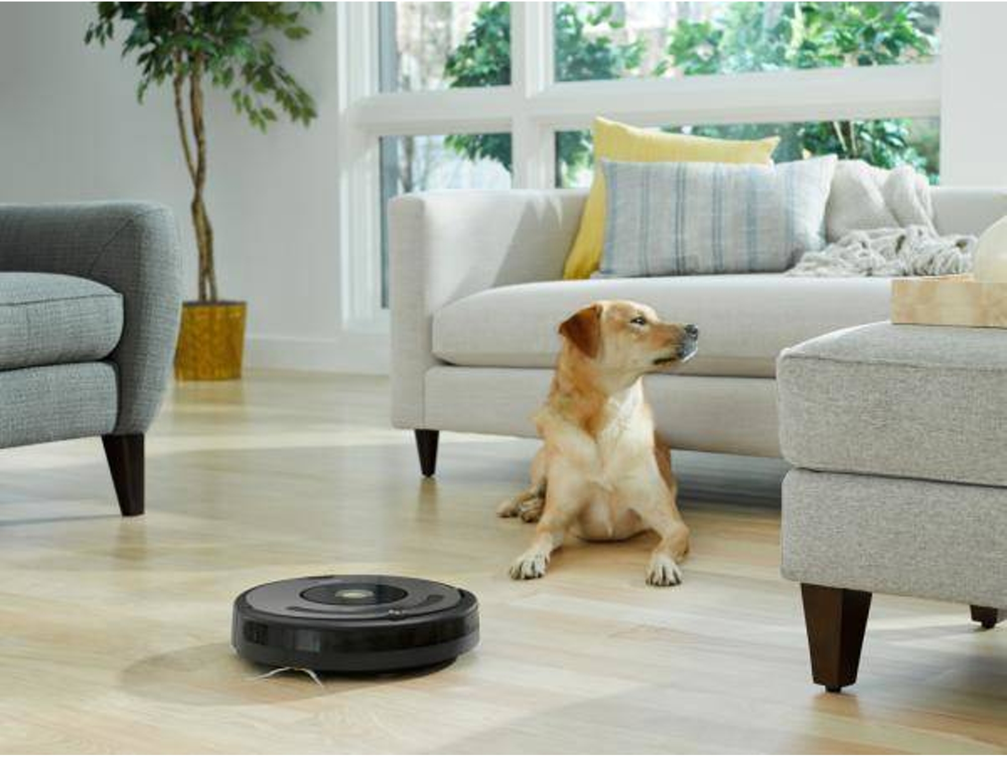 Aspirador Robot IROBOT Roomba 676 Autonomia 60 min Worten Canarias