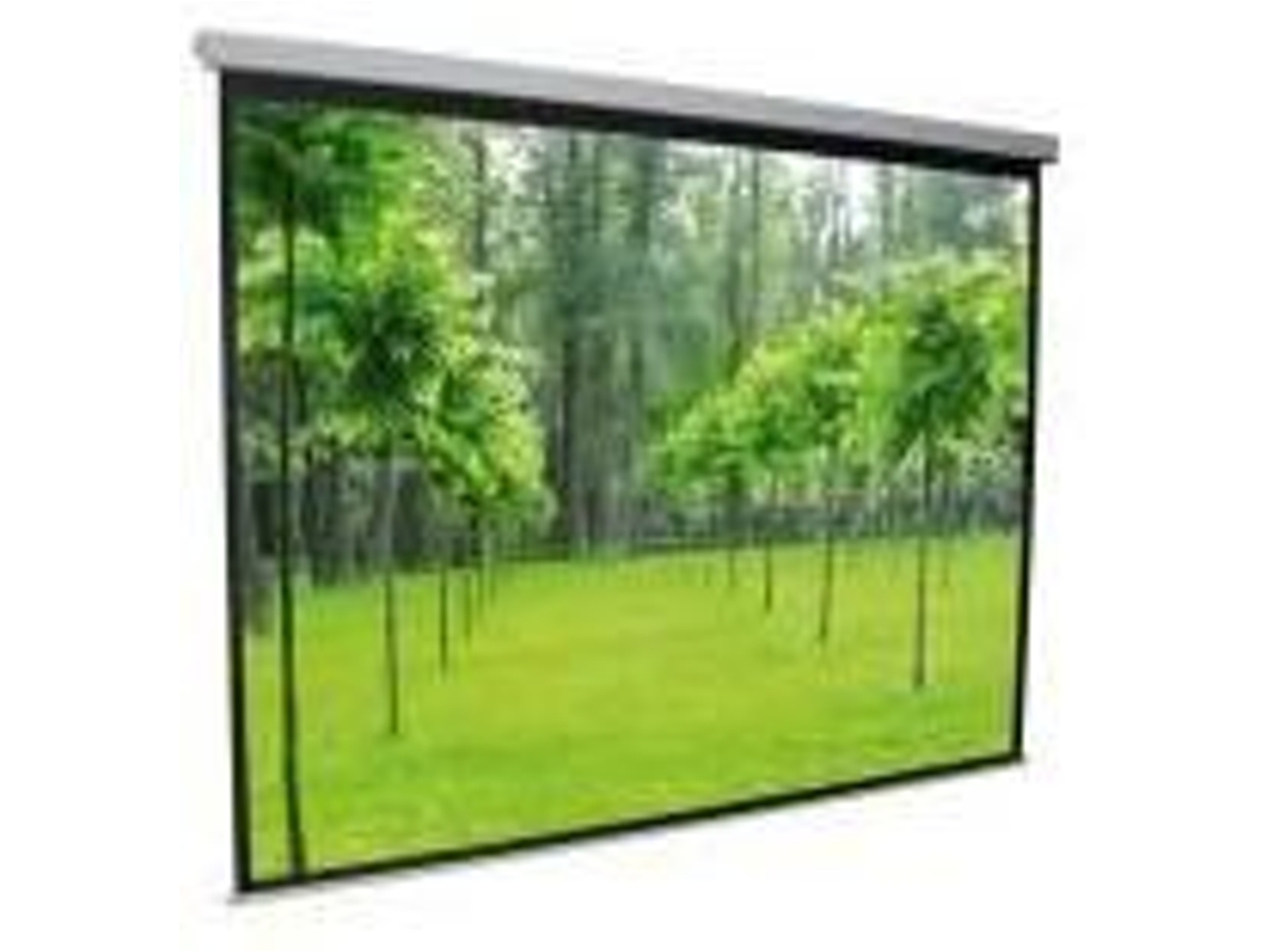 Pantalla Proyector PLUSSCREEN KUBI PE305-4WA