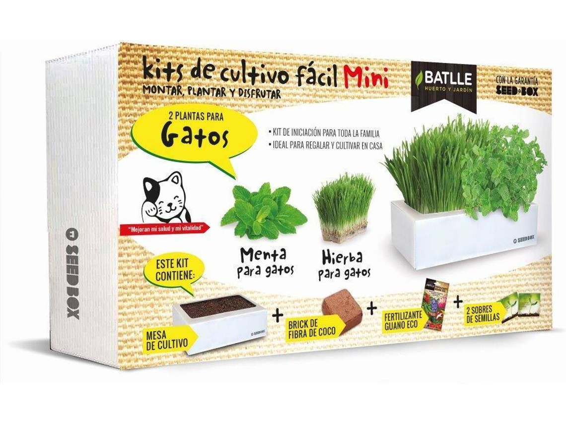 Huerto Urbano BATLLE Seed Box Mini Hierba para Gatos