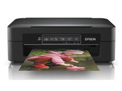 Impresora EPSON Expression Home XP-245 (Multifunción - Inyección de Tinta - Wi-Fi)