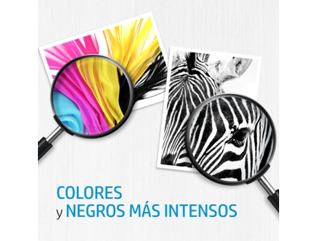 Pack ahorro X4D37AE 2 cartuchos tinta HP 302 negro + tricolor — 2 Cartuchos | Multicolor | 165 Páginas (color), 190 Páginas (negro)