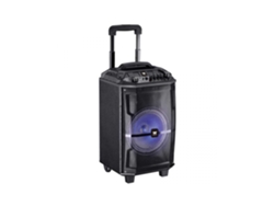 Altavoz Trolley WOXTER Rock'N'Roller 80W
