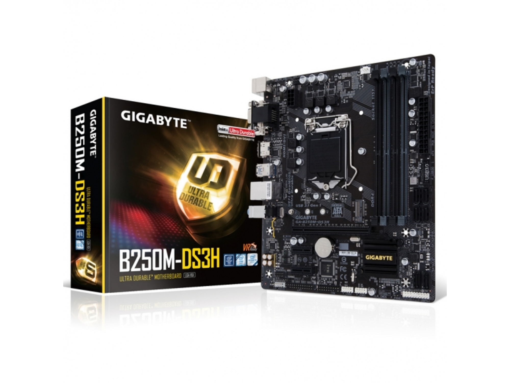 Placa Base GIGABYTE B250M-DS3H