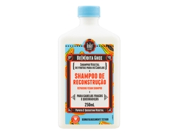 Champú LOLA COSMETICS Reconstrucción Be(m)dita Ghee Papaya y Queratina Vegetal (250 ml)