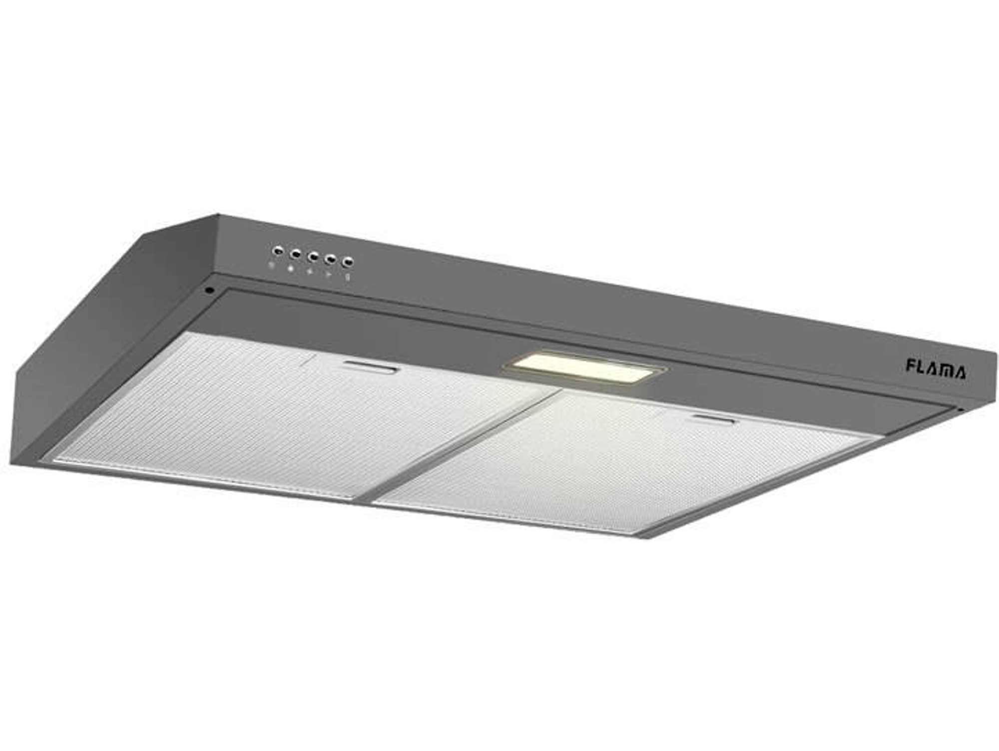 Campana FLAMA 9305FL (220 m3/h - 60 cm - Inox)