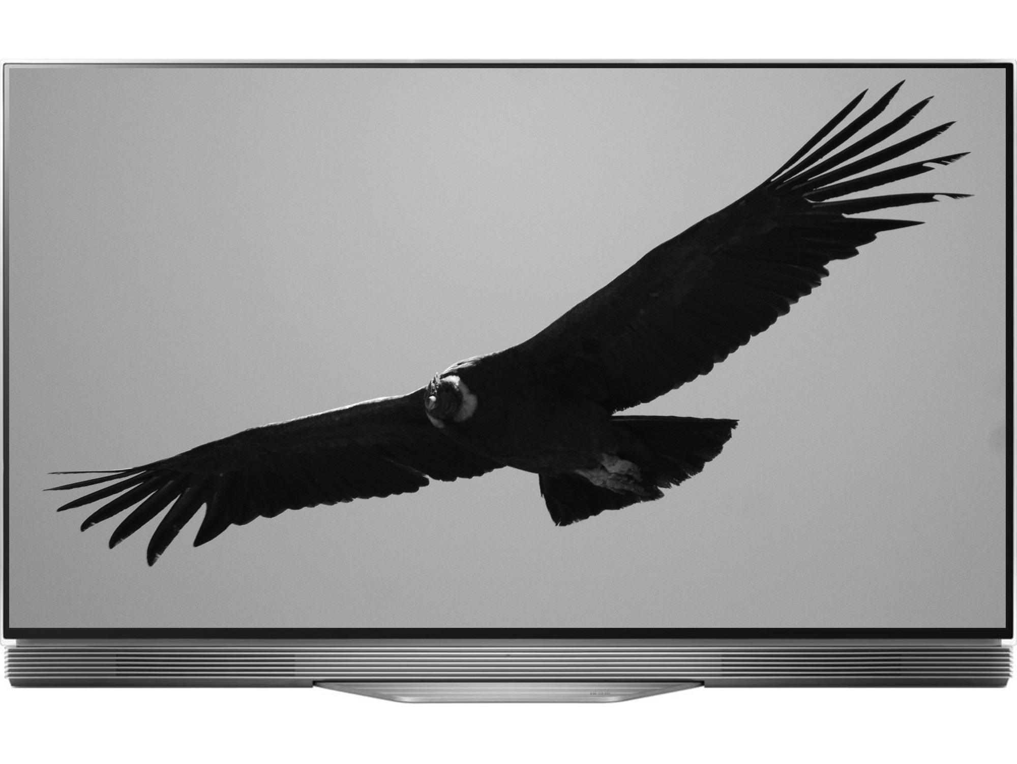 TV LG OLED55E7N (OLED - 55'' - 140 cm - 4K Ultra HD - Smart TV)