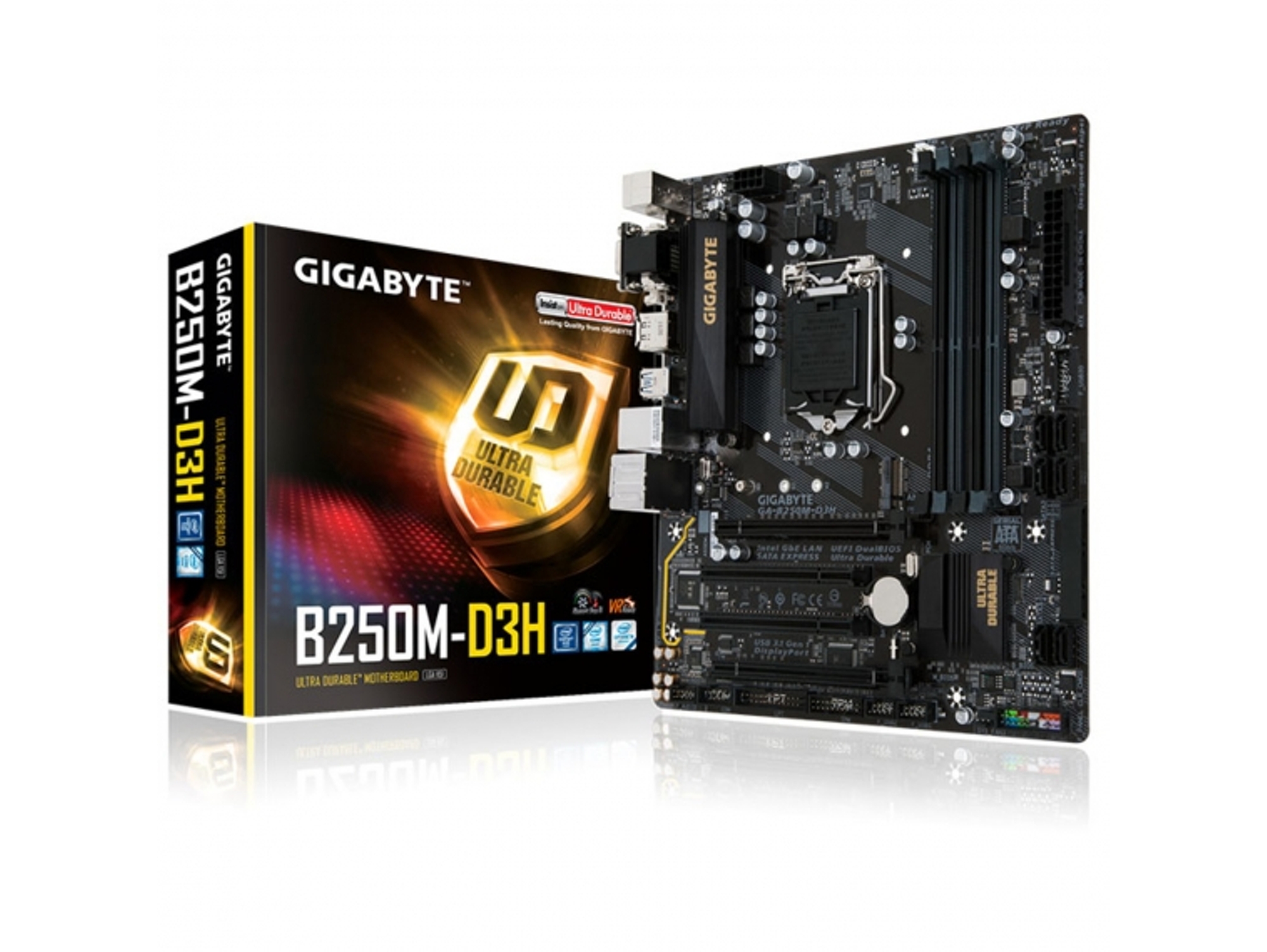 Motherboard GIGABYTE B250M-D3H