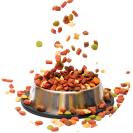 Piensos, Snacks y Suplementos para Perros