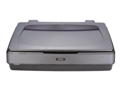 Escáner EPSON EXPRESSION 11000XL