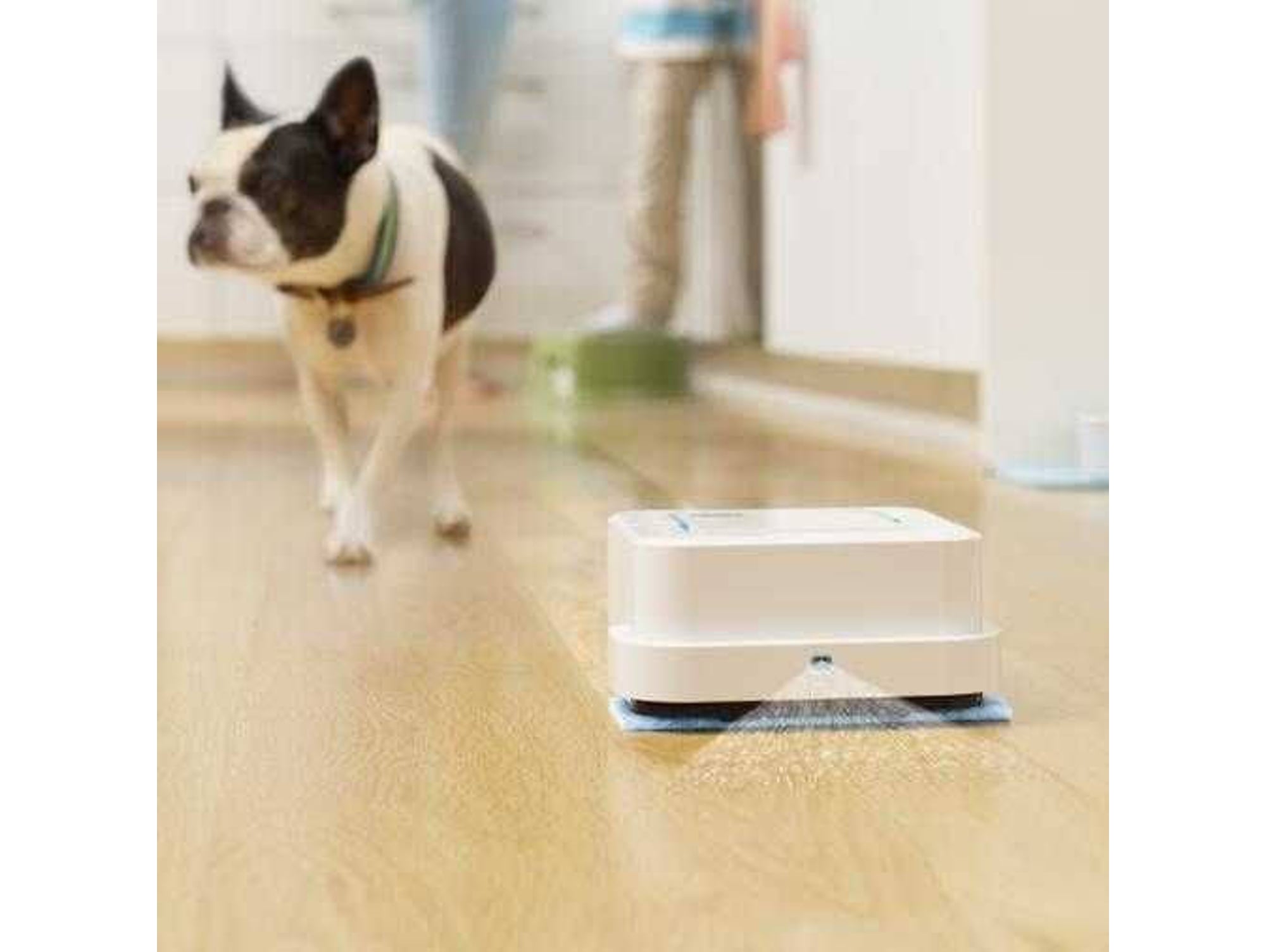 Mopa Robot IROBOT Braava Jet B250 (Autonomía: 60 min) | Worten