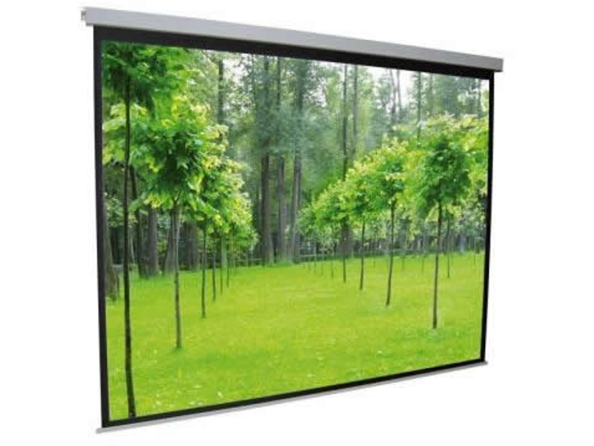 Pantalla Proyector PLUSSCREEN KUBI PE240-4WC
