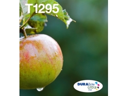Pack ahorro cartuchos de tinta original EPSON T1295, Manzana, C13T12954012