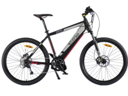 Bicicleta Eléctrica BRINKE Allroad T50M