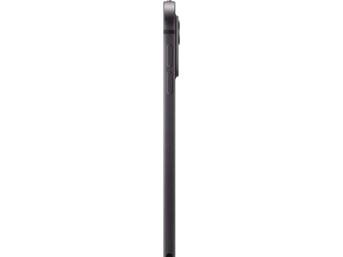 iPad Pro APPLE (11'' - 256 GB - Wi-Fi - Negro Espacial - Vidrio