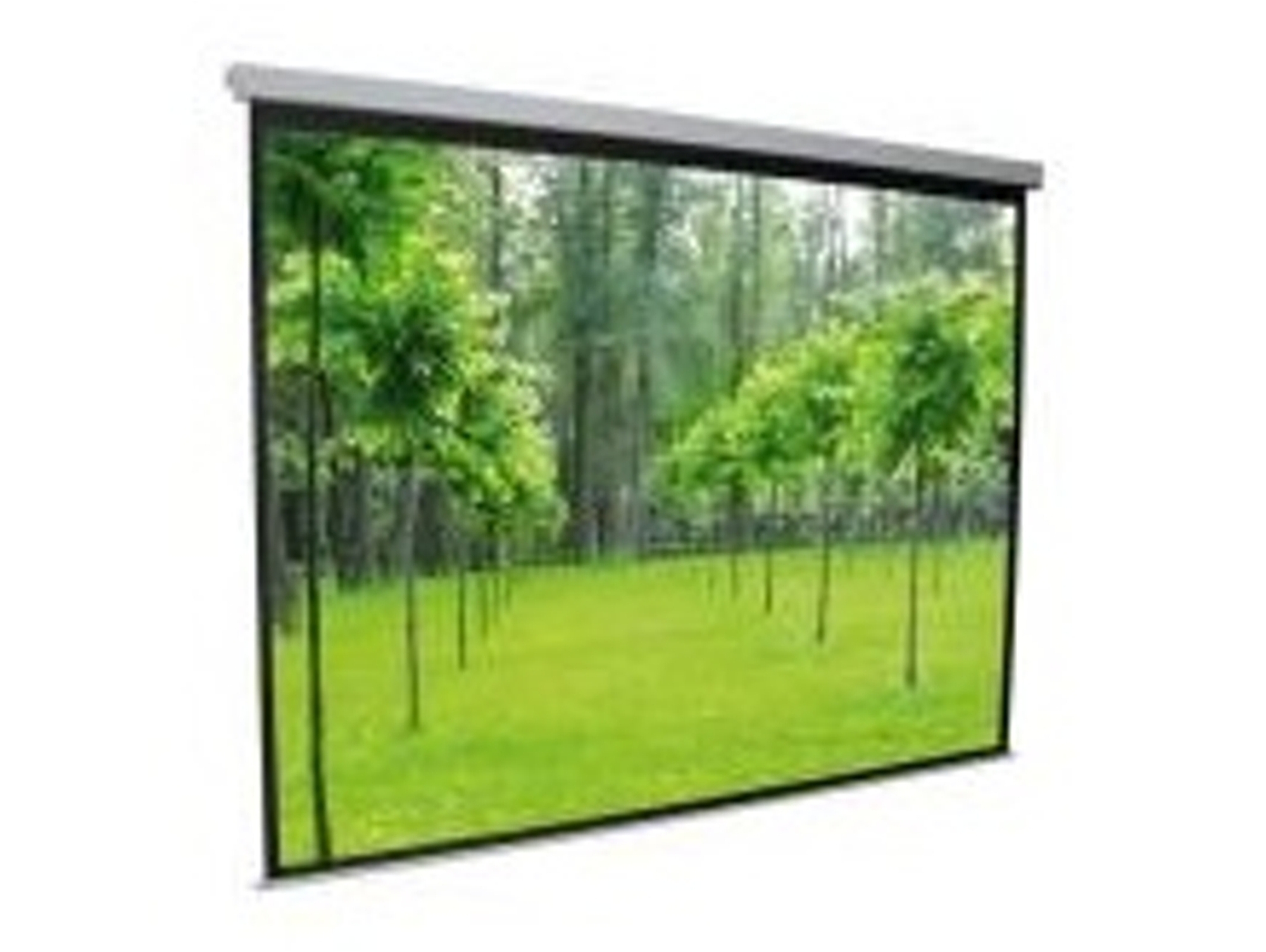 Pantalla Proyector PLUSSCREEN KUBI PE244-4WA