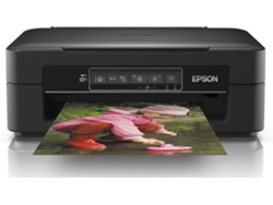 Impresora Multifunción EPSON Expression Home XP-245 (Caja Abierta)