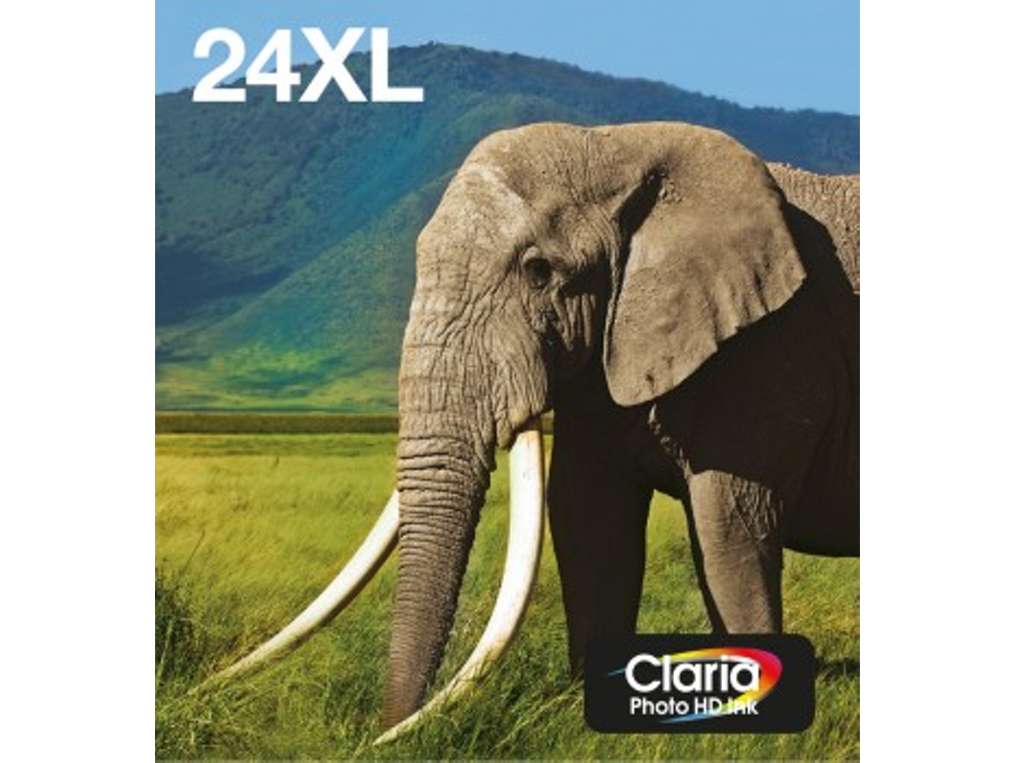 Pack ahorro cartuchos de tinta original EPSON,  24XL, Elefante, C13T24384011, T2438